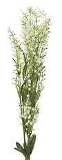 MIMOSA SPRAY 36" WHITE X3