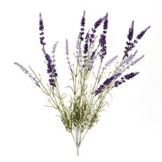 LAVENDER BUSH 22"