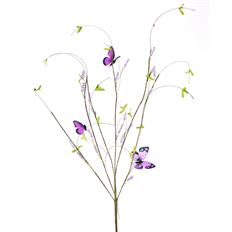 BUTTERFLY BERRY 36" LAV/PUR