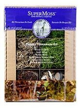TERRARIUM KIT FOREST 8OZ