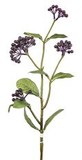 BERRY VIBURNUM 24" EGGPLANT