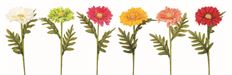 GERBERA DAISY 24" X6 ASST