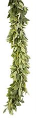 GARLAND BAY LEAF