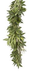 GARLAND BAY LEAF & OLIVE LEAF