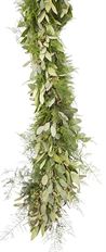 GARLAND PLUMOSA, BAY & SEEDED EUC