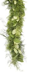 GARLAND PLUMOSA, SPRINGREI & SALAL