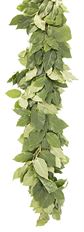 GARLAND SALAL