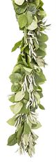 GARLAND SALAL & OLIVE
