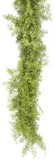 GARLAND SPRINGREI