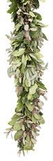 GARLAND SALAL, SEEDED EUC & PITT