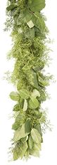 GARLAND SALAL & SPRINGREI