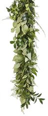 GARLAND PLUMOSA, NAGI & SEEDED EUC