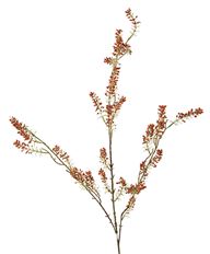 SPIREA SEEDED BRANCH X3 42"
