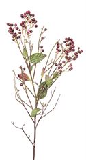 BERRY BRANCH LIGUSTER 34"