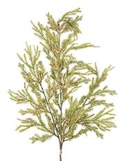LYCAPODIUM SPRAY 30" GREEN