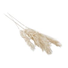PAMPAS GRASS 55-62" WHITE 3/PK
