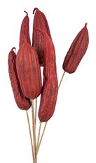 JINGA POD 16" RED 6/PK