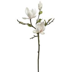 TREE MAGNOLIA PICK 20" CHAMPAGNE