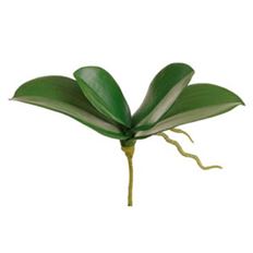 ORCHID LEAF X4 7" GREEN