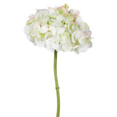 HYDRANGEA 18.5" WHITE/GREEN