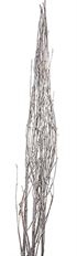 BIRCH 3-4.5' METALLIC SILVER