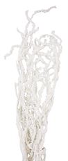 SALIX 39" SNOW WHITE 5/PK