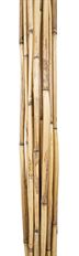 RIVER CANE 7FT NATURAL 25/PK