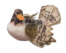 DUCK 2" SPREADWING W/WIRE 12/PK