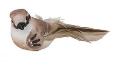 MOCKINGBIRD 3.25" 12/PK ASSORTED