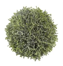 CEDAR ORB 6" GREEN