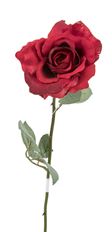 ROSE MEDIUM SINGLE 23" RED