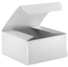 BOX CORSAGE WHITE 9X5X4" 100/CS