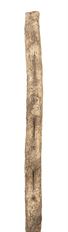 CURLY VINE 60" NATURAL