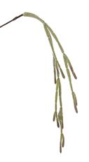 CATCUS HANGING SPRAY GR 28"