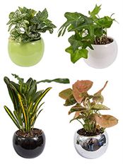 2.5" MAGNET CONTAINERS