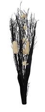 BOUQUET BLACK BLEACH
