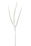 HORSETAIL BRANCH WHITE/GRN