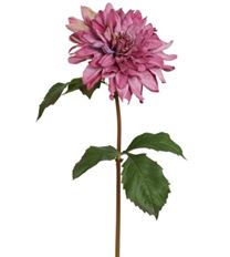 DAHLIA GARDEN DRIED LOOK 19" MAUVE