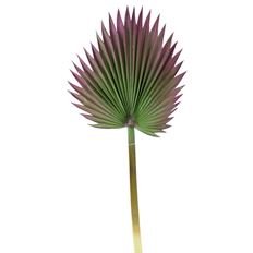 PHLOX LEAF 37.5" BURG/GREEN