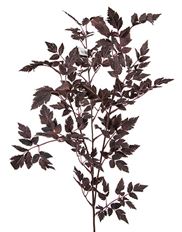 RAMOSA LEAF SPRAY 46" PLUM