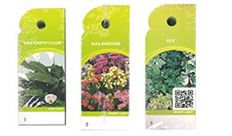 CARE TAGS JOHN HENRY AST 100PK