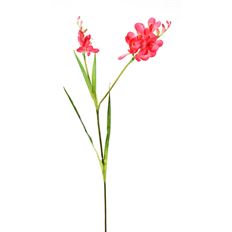 FREESIA 36" PINK