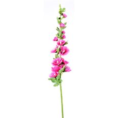 HOLLYHOCK 43" PINK