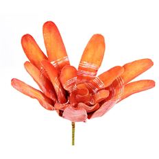 BROMELIAD STRIPE PLANT 17" SUNSET