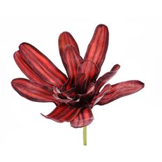 BROMELIAD 17" RED BURG