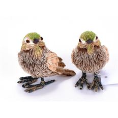 BIRD LICHEN 4.5" 2 ASST GEEN