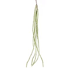 COCONUT FROND 50" GREEN