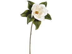 MAGNOLIA M. 29" TWO-TONE WHITE