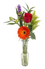 BUD VASE MIX