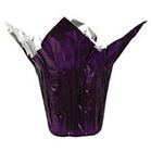 SPEED COVER 10" PURPLE 25/PK